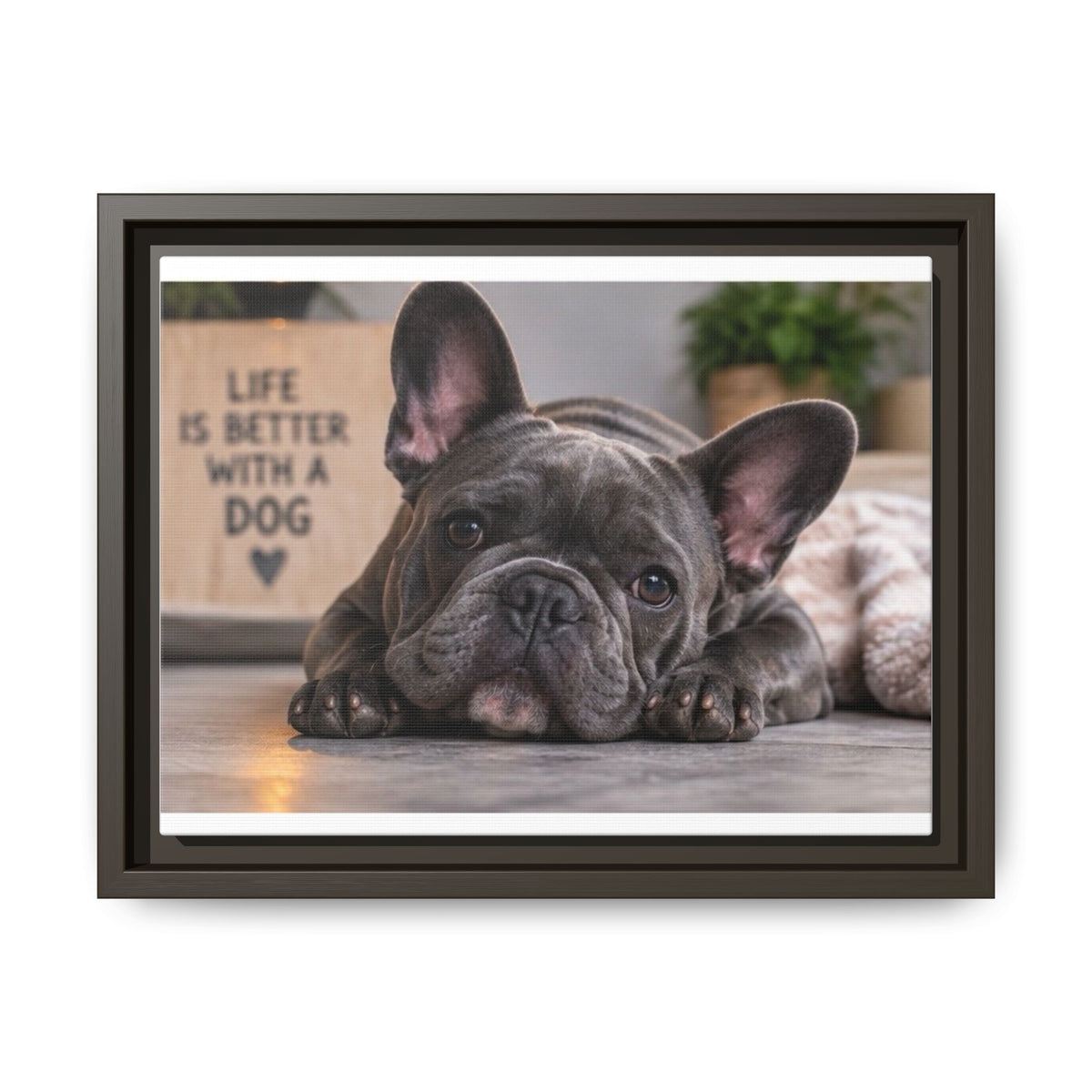 Matte Canvas, Framed (Multi-color)
