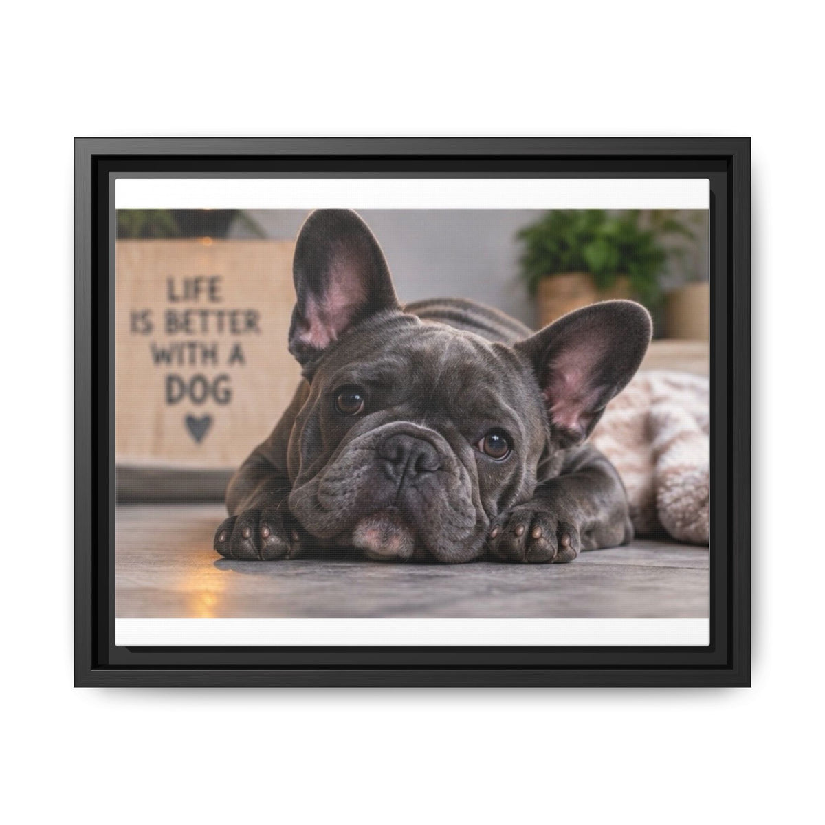 Matte Canvas, Framed (Multi-color)
