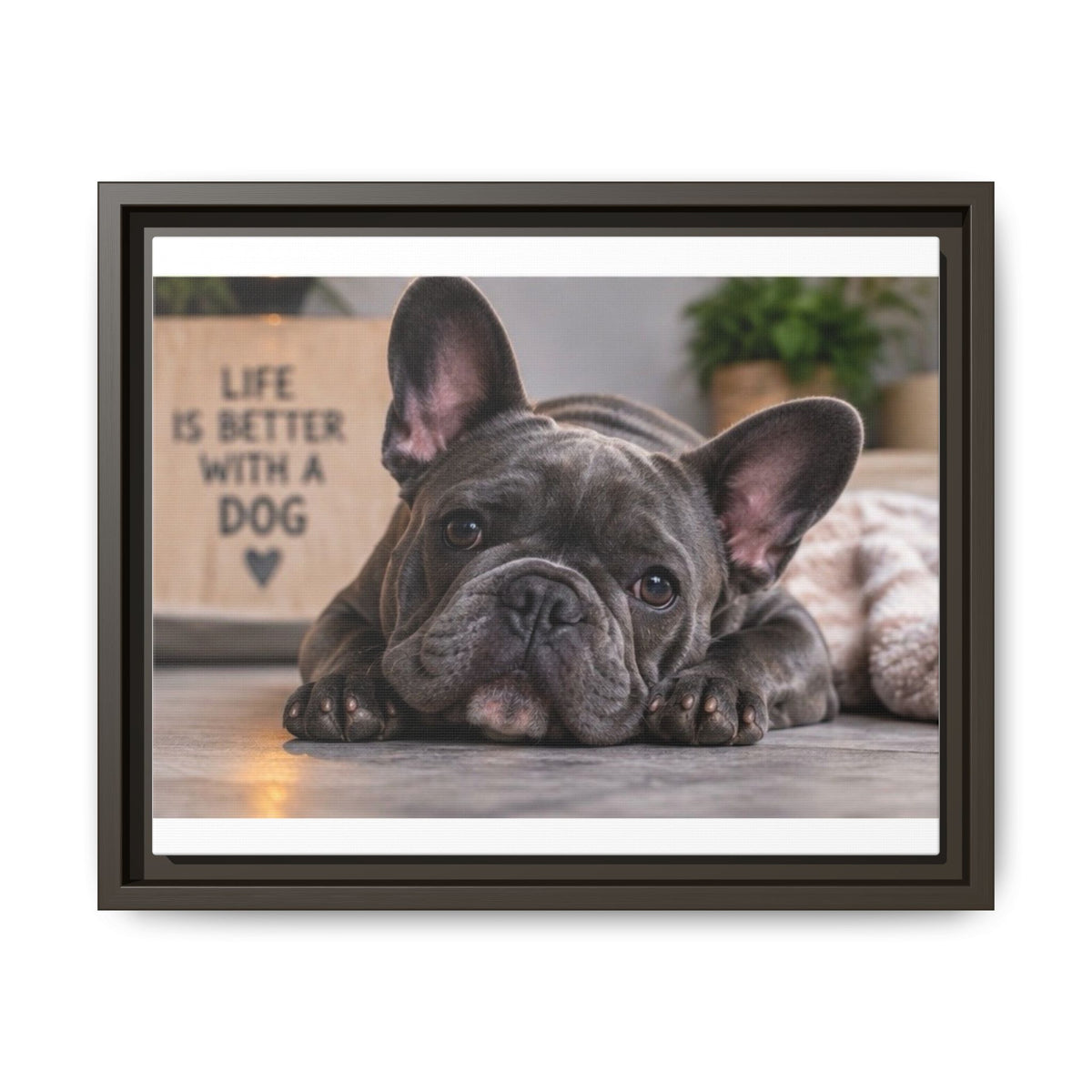 Matte Canvas, Framed (Multi-color)