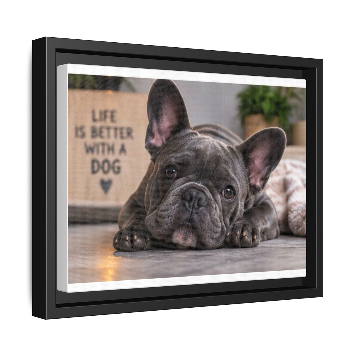 Matte Canvas, Framed (Multi-color)