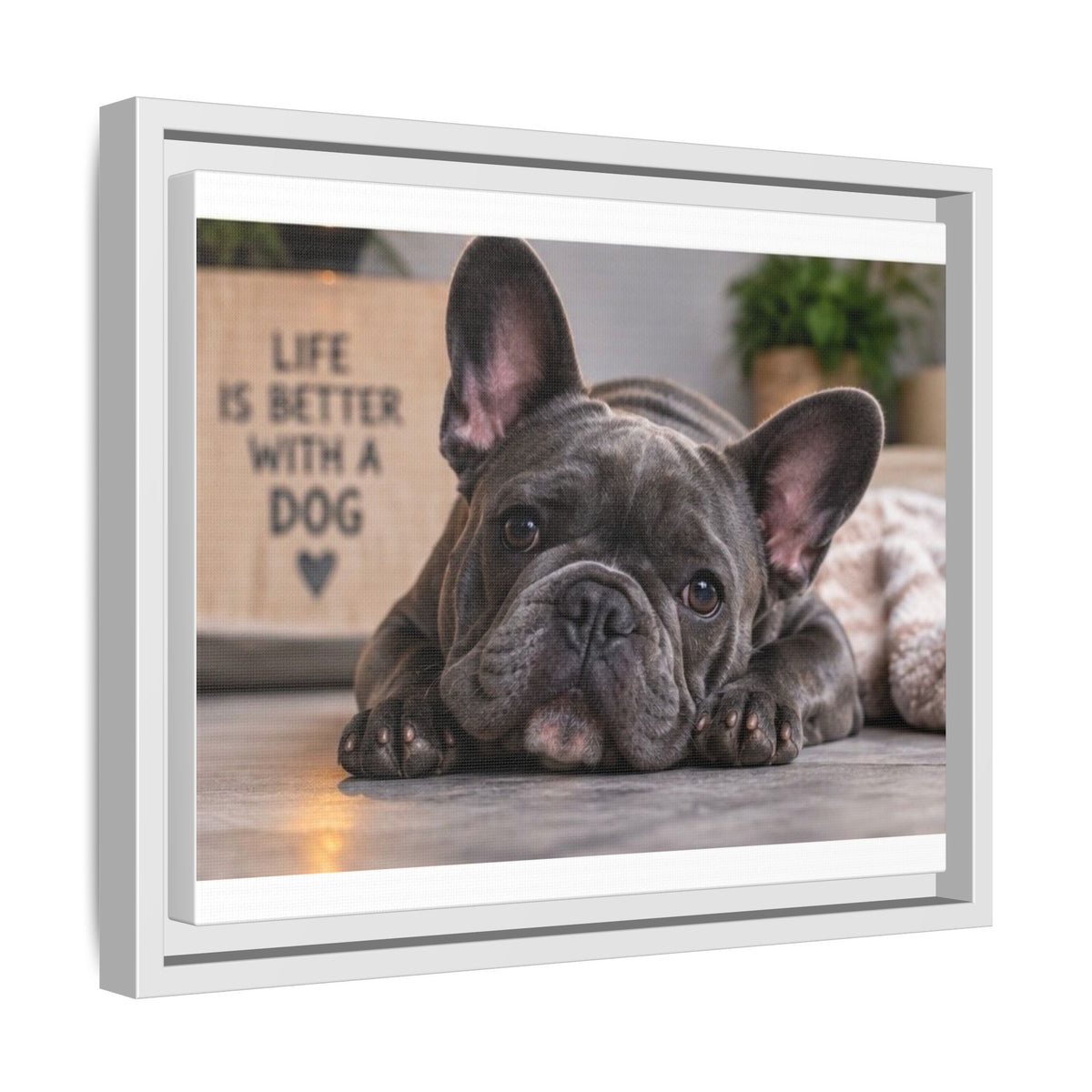 Matte Canvas, Framed (Multi-color)