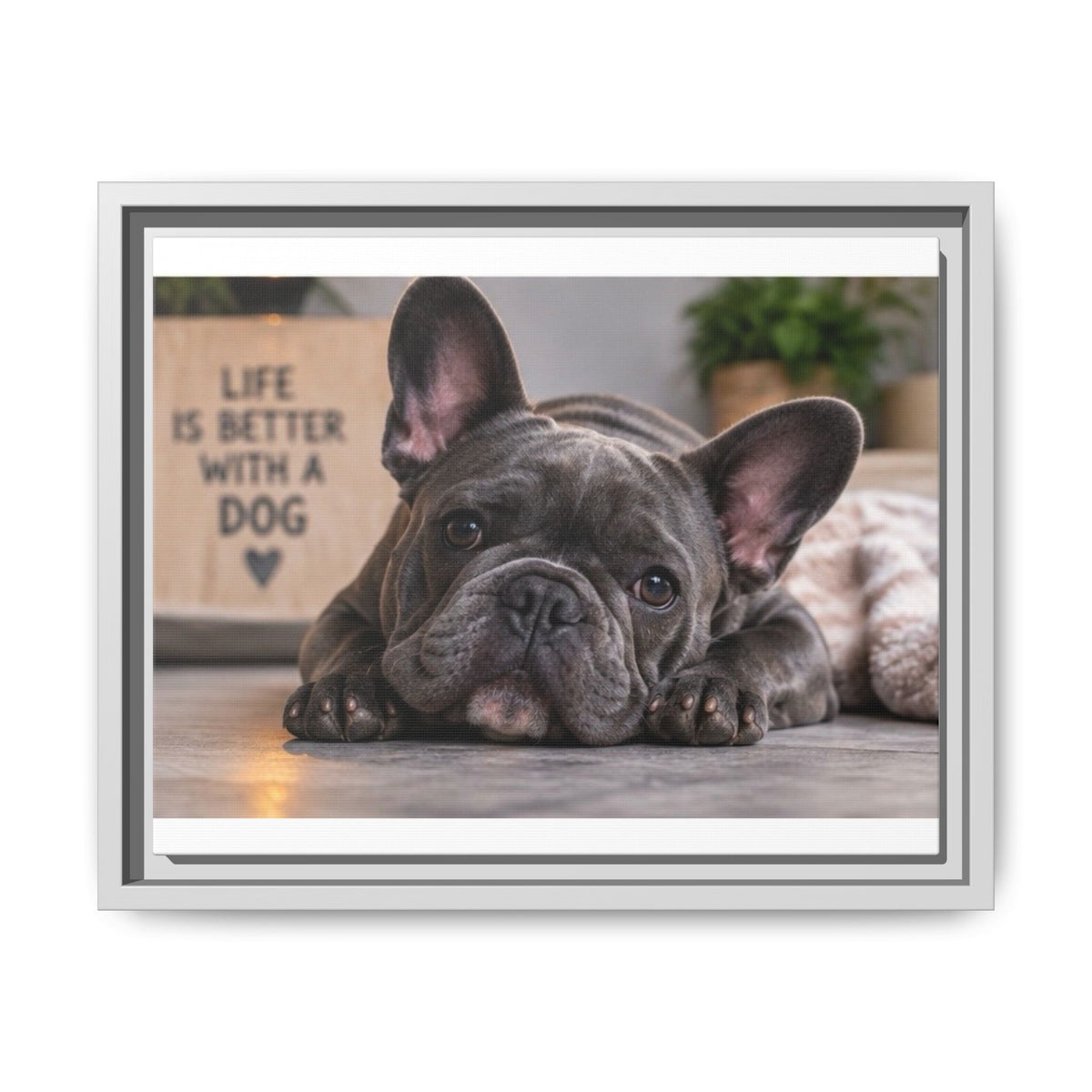 Matte Canvas, Framed (Multi-color)
