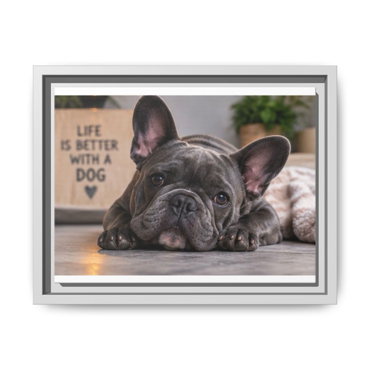 Matte Canvas, Framed (Multi-color)