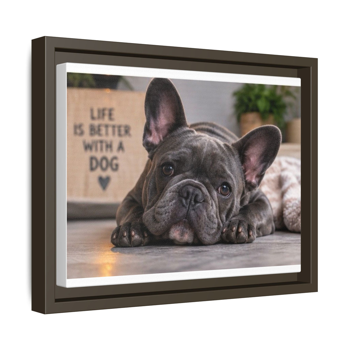 Matte Canvas, Framed (Multi-color)